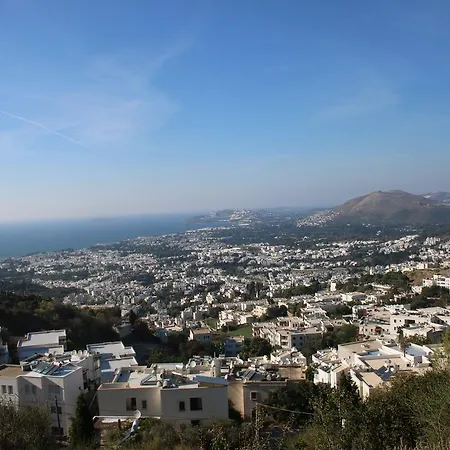 Hakan טורגוטריס